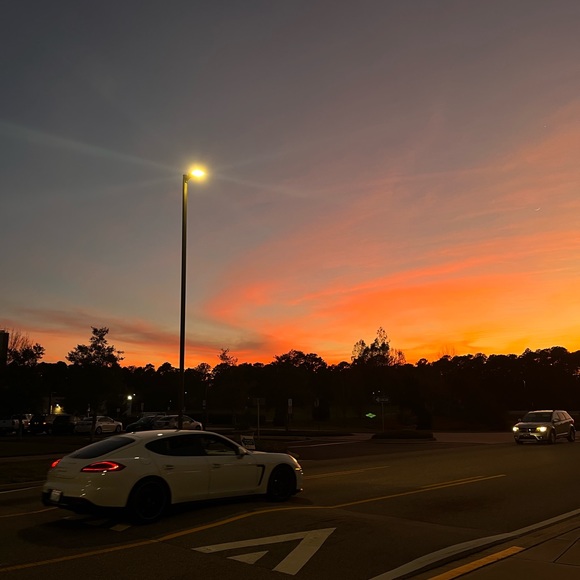 Meet your Posher, Sophia - Picture 4 of 4